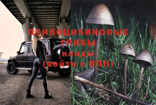 мескалин Осинники