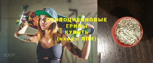 ПСИЛОЦИБИНОВЫЕ ГРИБЫ Пересвет