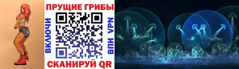 Псилоцибиновые грибы ЛСД  закладки  Медынь 